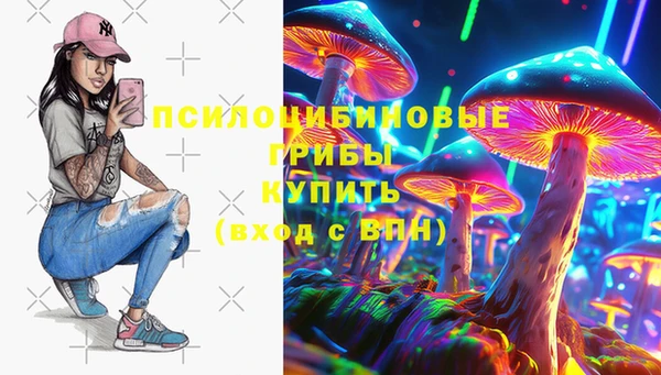 хмурый Вязники