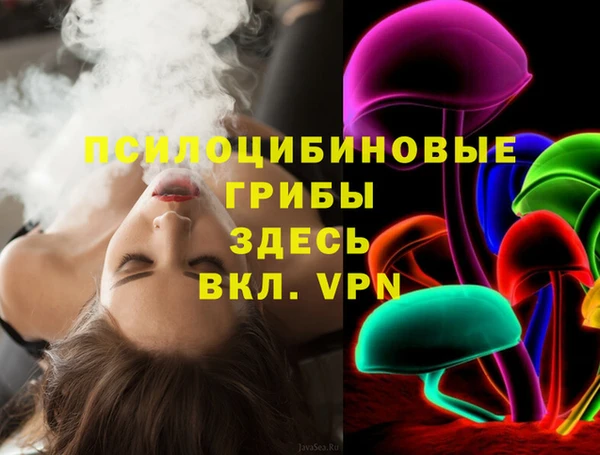 марки nbome Вяземский