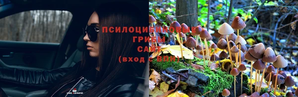 хмурый Вязники