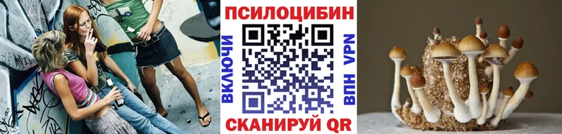 Галлюциногенные грибы мицелий Саянск