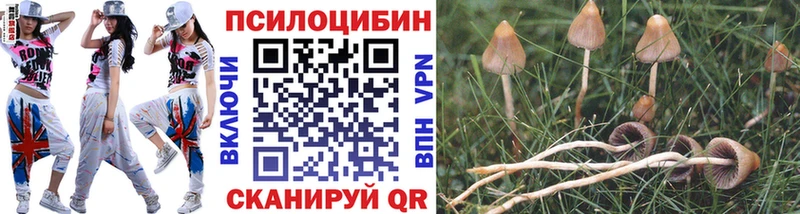 Псилоцибиновые грибы GOLDEN TEACHER  Купить закладки  Саянск 